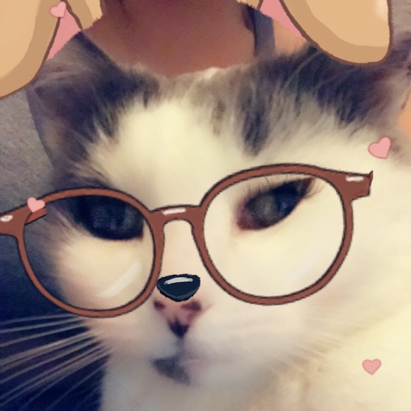 Meet your Posher, Carla - Picture 1 of 1